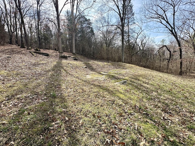 view of local wilderness