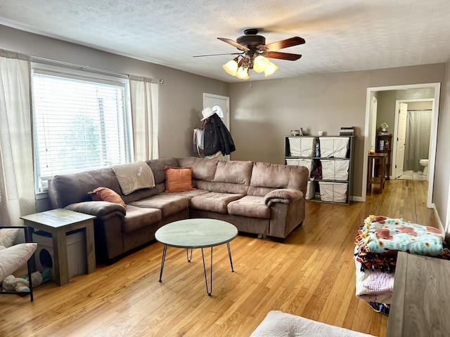 living room featuring ceiling fan, light hardwood / wood-style floors, and a textured ceiling