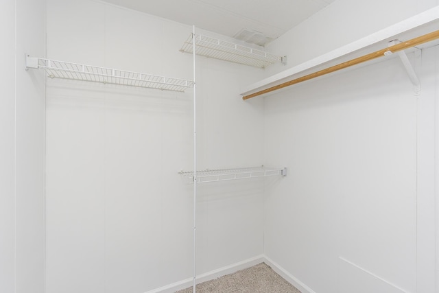 spacious closet with carpet floors