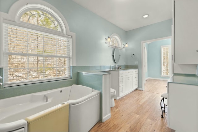 bathroom featuring hardwood / wood-style flooring, a bathtub, toilet, and vanity