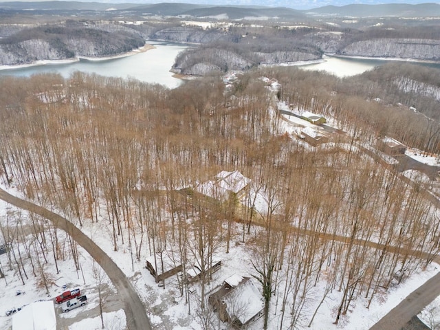 snowy aerial view featuring a mountain view