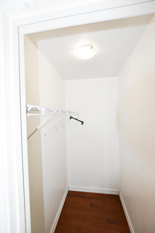 spacious closet with dark wood-type flooring