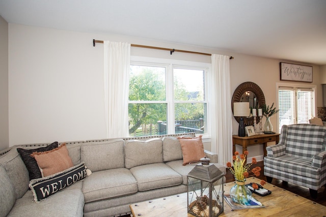 living room with wood finished floors