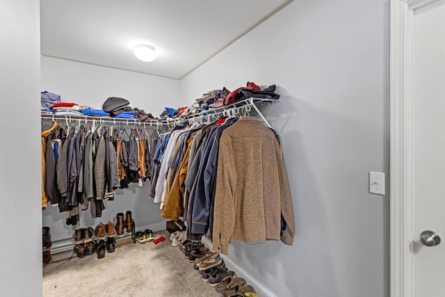 spacious closet with carpet floors