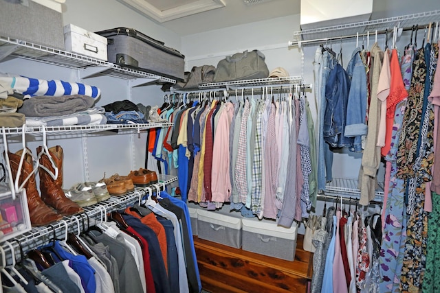 view of walk in closet