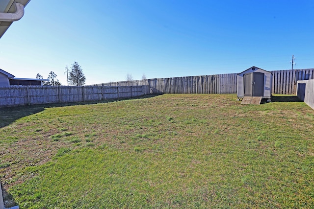 view of yard with a shed