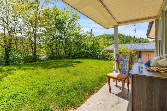 view of yard featuring a patio area