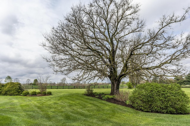 view of yard featuring a rural view