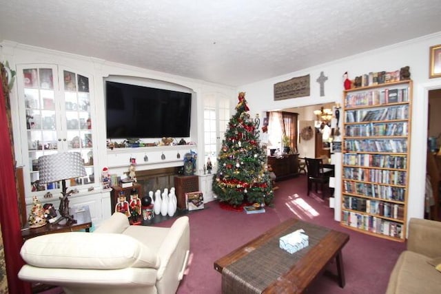 carpeted living area featuring a textured ceiling