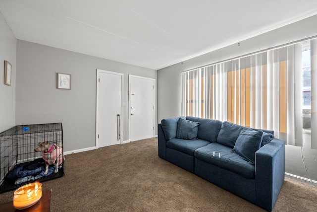 living room featuring carpet floors