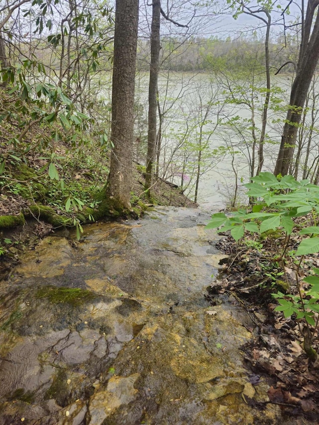 1224 Green Hill Estates Rd, Monticello, KY 42633 - water view