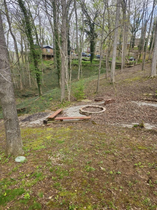 1224 Green Hill Estates Rd, Monticello, KY 42633 - view of yard