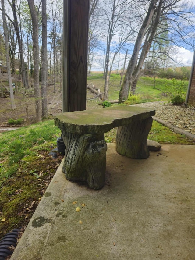 1224 Green Hill Estates Rd, Monticello, KY 42633 - view of yard