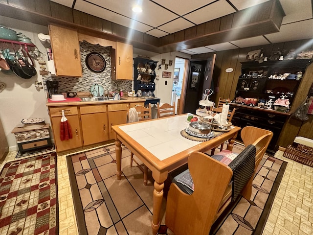 interior space featuring a paneled ceiling, sink, and decorative backsplash