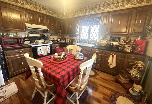 kitchen with dark hardwood / wood-style flooring, sink, and range with electric stovetop