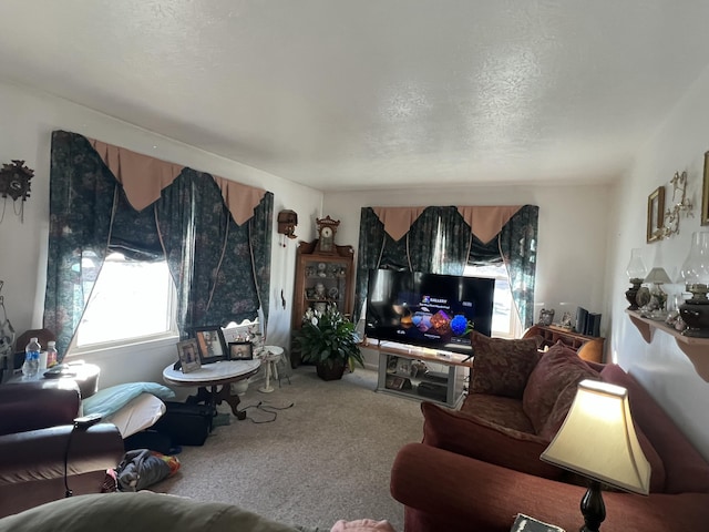 living room with a textured ceiling and carpet flooring