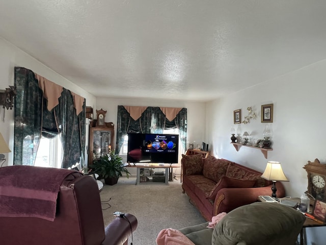 living room featuring a textured ceiling and carpet floors