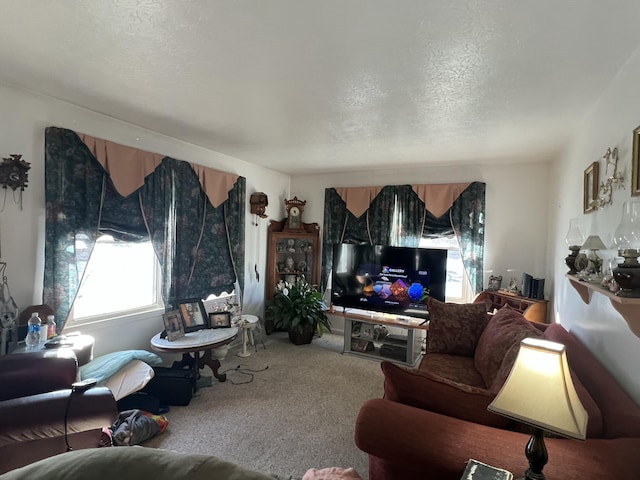 living room with a textured ceiling and carpet flooring