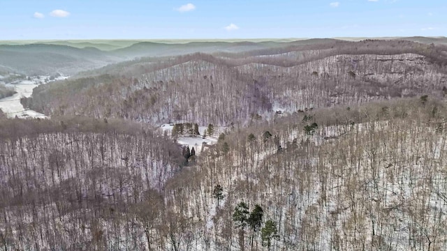 aerial view featuring a mountain view