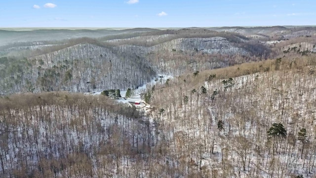 drone / aerial view featuring a mountain view