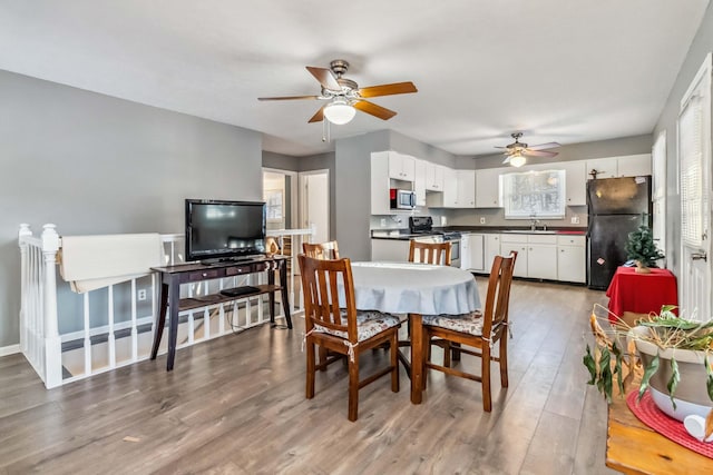 dining room featuring sink and hardwood / wood-style flooring