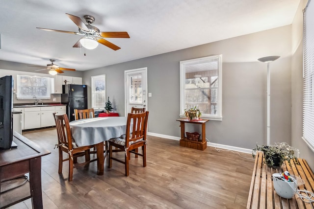 dining area featuring sink and light hardwood / wood-style flooring