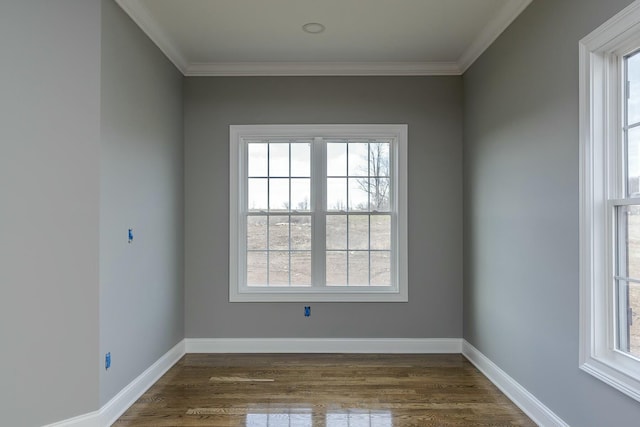 spare room with dark wood-type flooring and ornamental molding