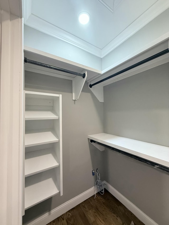 walk in closet featuring dark hardwood / wood-style flooring