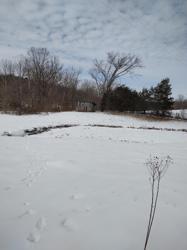 view of snowy yard