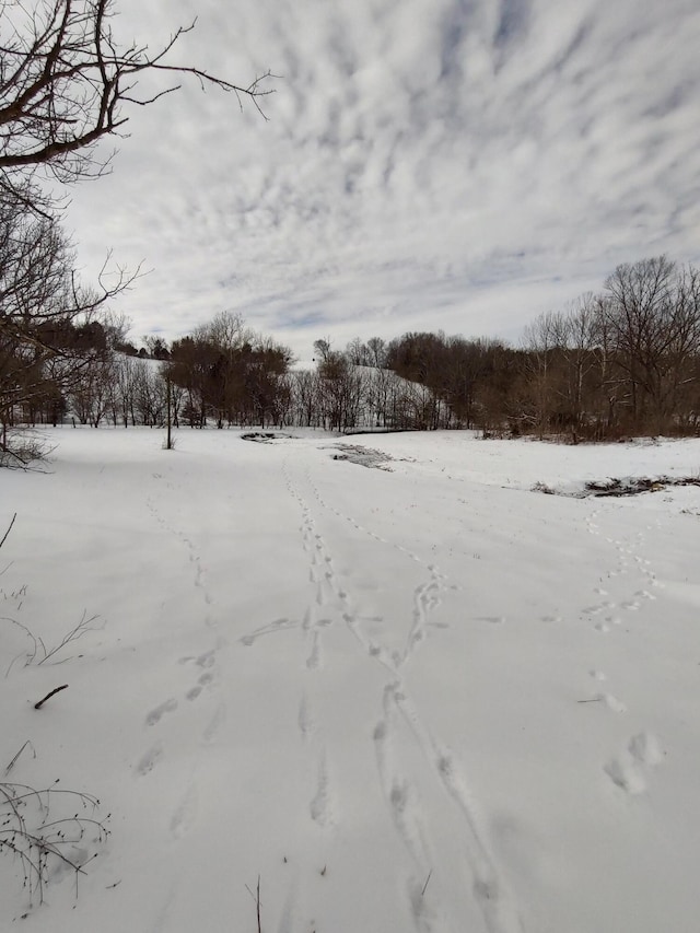 view of snowy yard