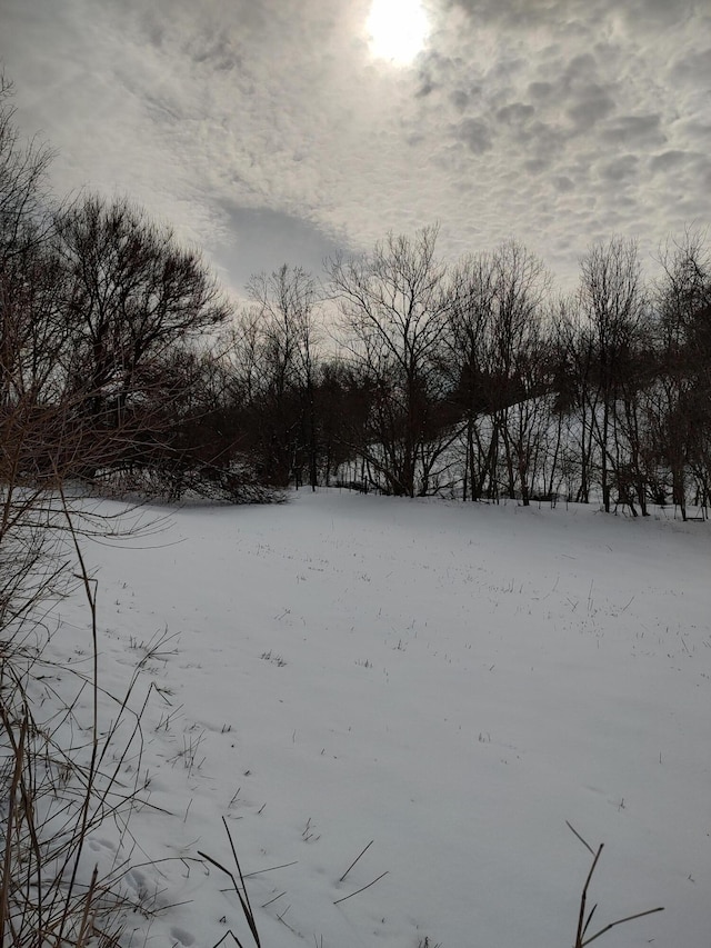 view of yard layered in snow