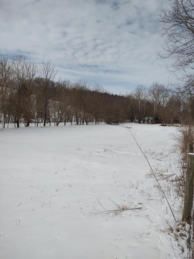 view of yard layered in snow