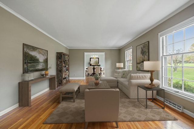 living room with crown molding and wood-type flooring