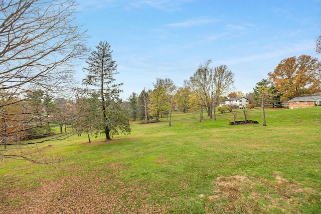 view of yard