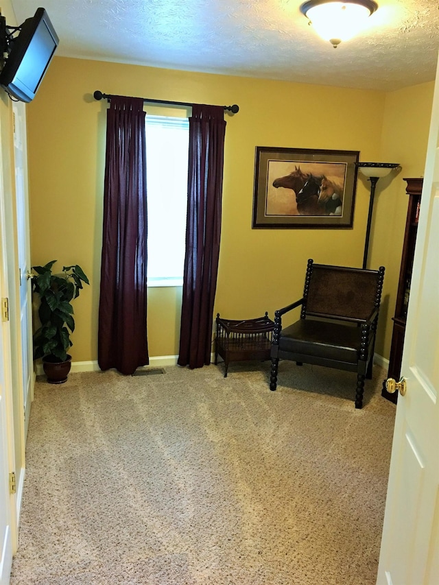 sitting room with carpet floors and a textured ceiling