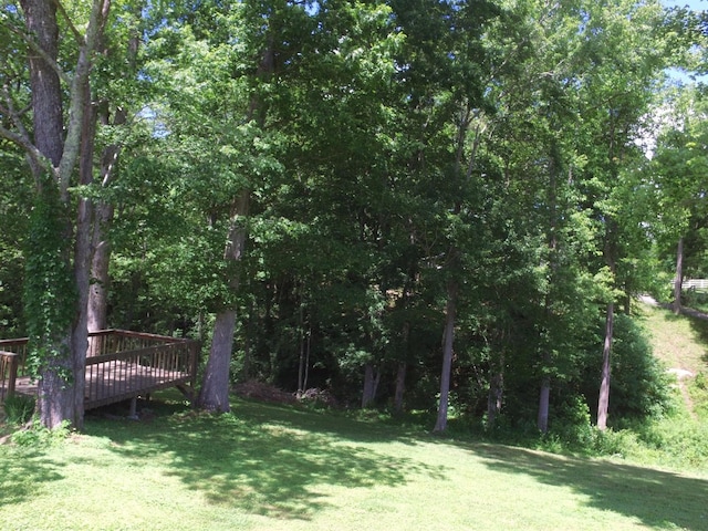 view of yard with a deck