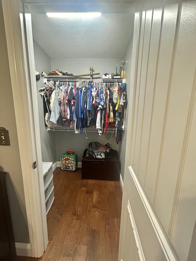 spacious closet featuring dark wood-type flooring