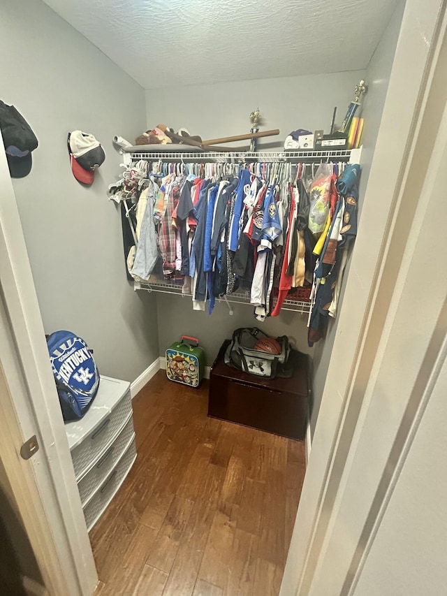 walk in closet with dark hardwood / wood-style floors