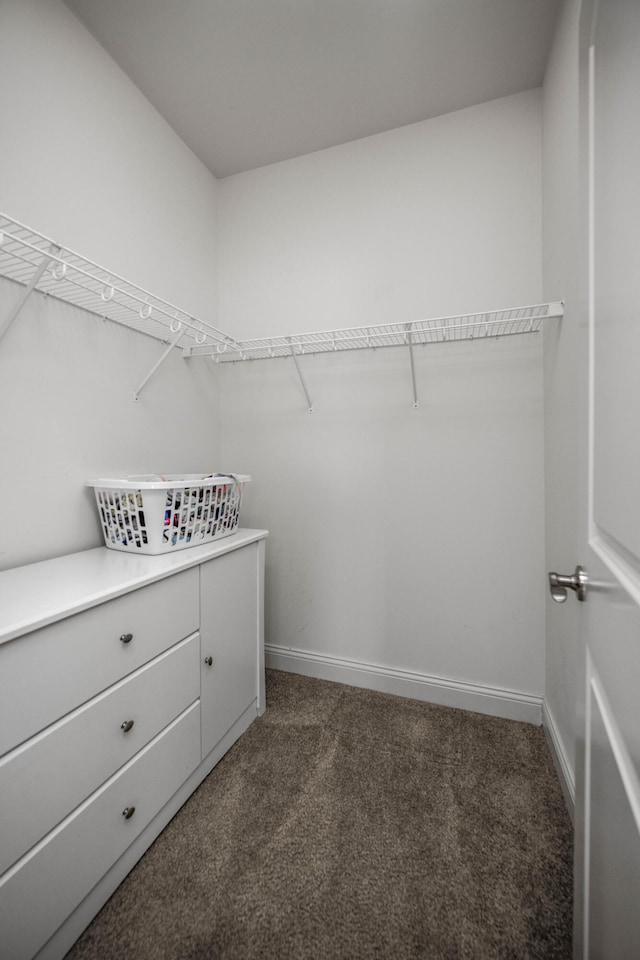 spacious closet with dark carpet