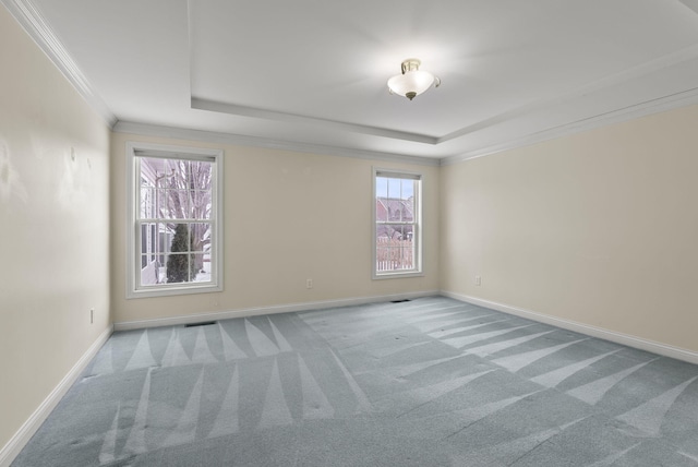 carpeted spare room featuring crown molding and a tray ceiling