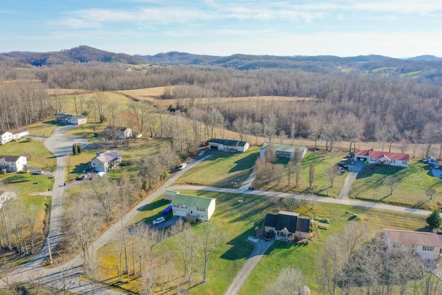 birds eye view of property with a mountain view