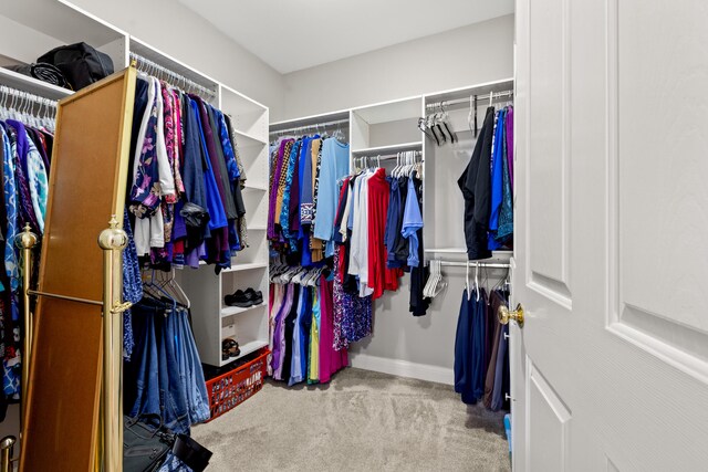 2040 Indigo Dr, Richmond, KY 40475 - spacious closet with carpet