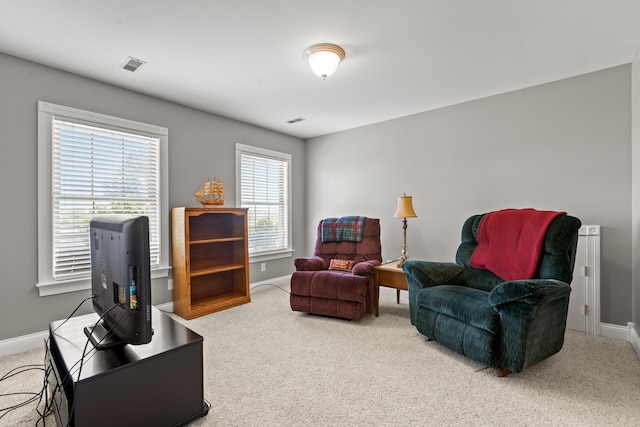 carpeted living room with plenty of natural light