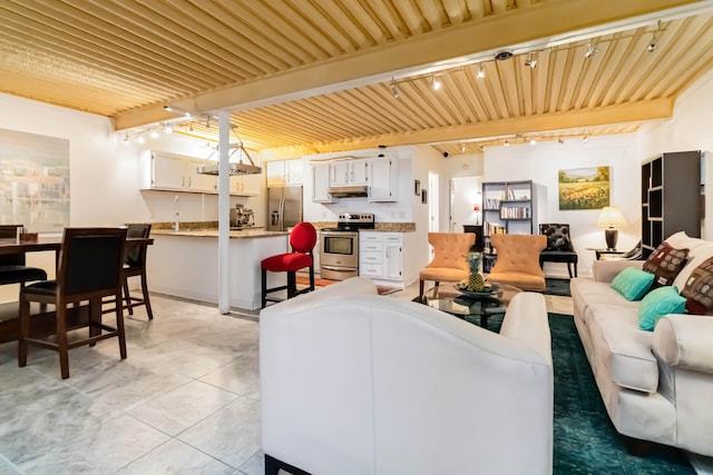 489 Sally J Rd, Mount Vernon, KY 40456 - living area with rail lighting