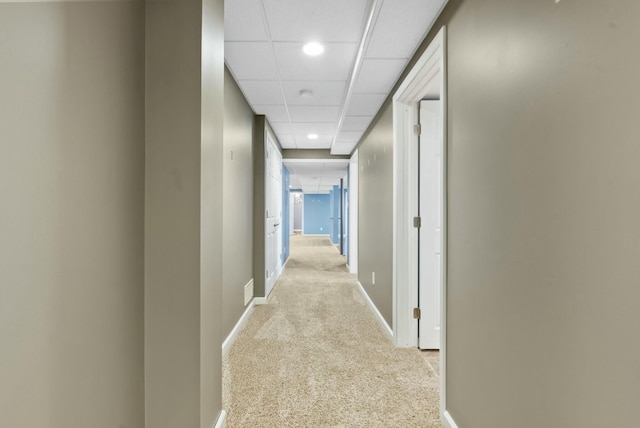 hallway with a paneled ceiling and light carpet