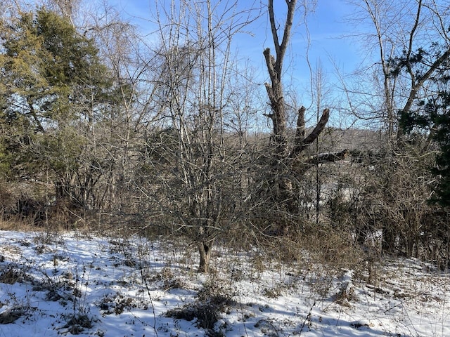 view of snowy landscape