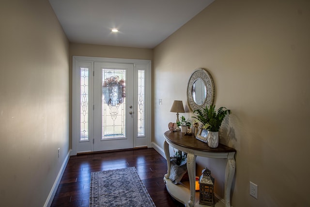 foyer entrance featuring dark wood-type flooring