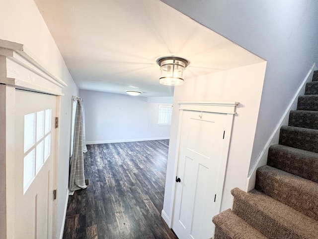 interior space featuring a healthy amount of sunlight and dark hardwood / wood-style flooring