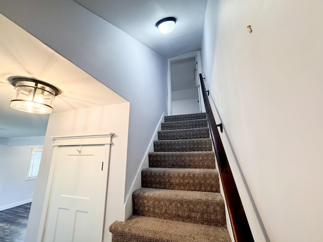 stairway with wood-type flooring