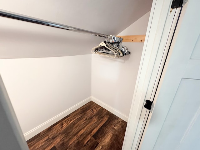 spacious closet featuring vaulted ceiling and dark hardwood / wood-style floors